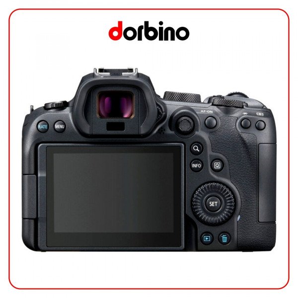 دوربین عکاسی کانن Canon EOS R6 Mirrorless Camera with 24-105mm f/4 Lens
